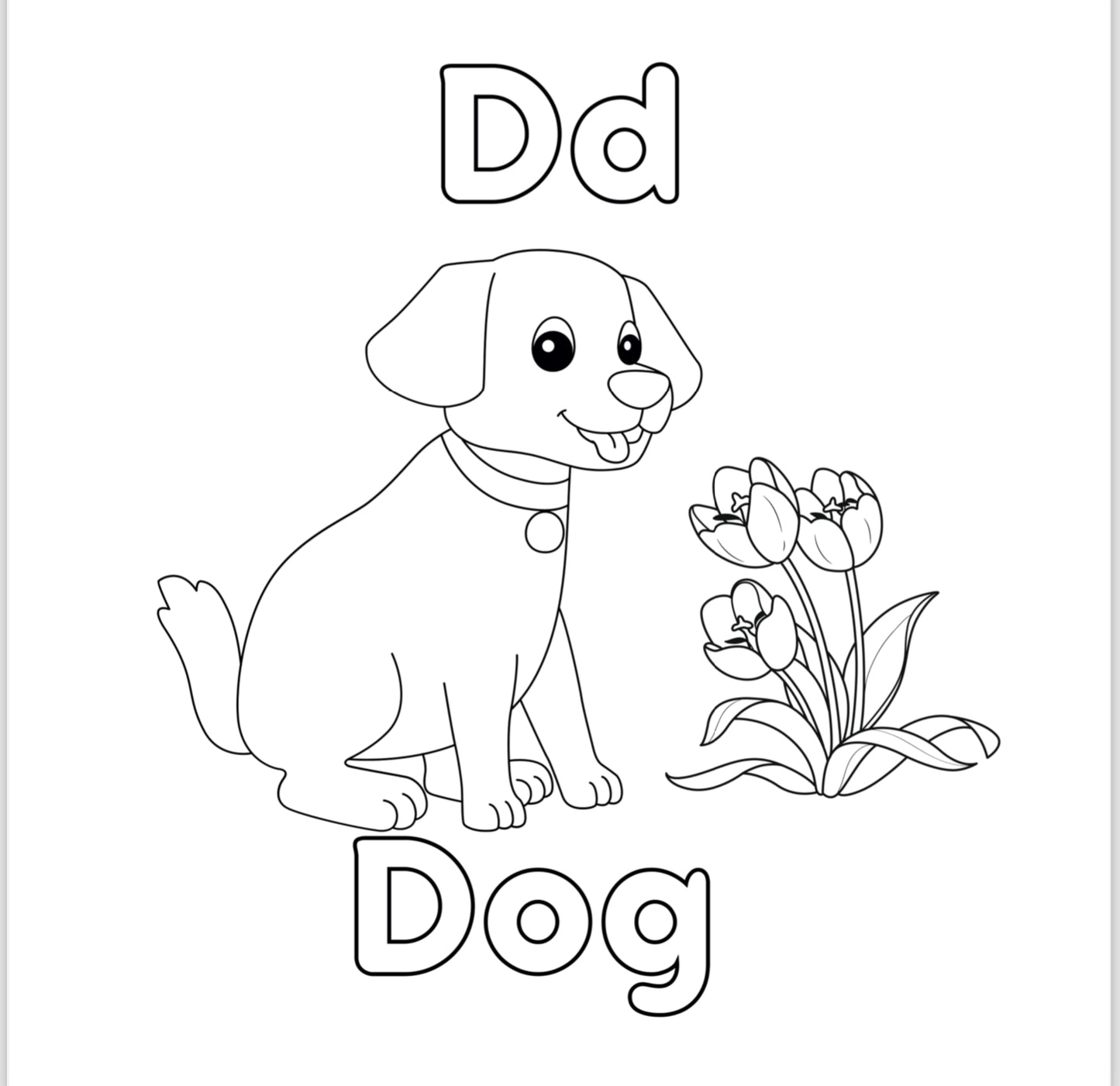 Coloring Pages A-Z (Downloadable PDF Only)